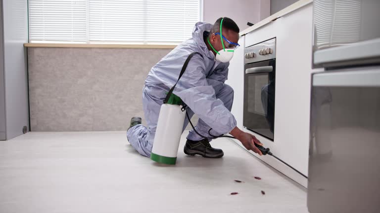 Best Real Estate Pest Inspections  in Country Knolls, NY